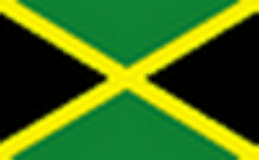 guyana Online phone number